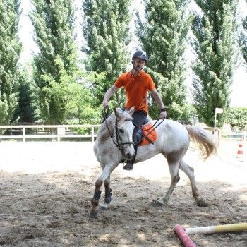 Pony Day Rovigo - 17 maggio 2015