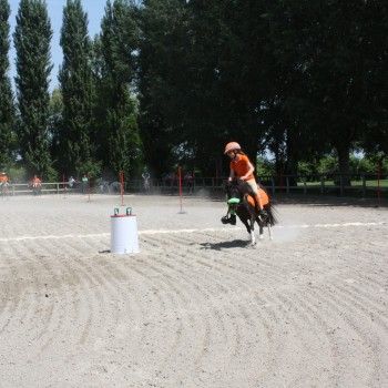 Pony Day Rovigo - 17 maggio 2015