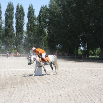 Pony Day Rovigo - 17 maggio 2015