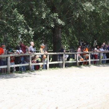 Pony Day Rovigo - 17 maggio 2015