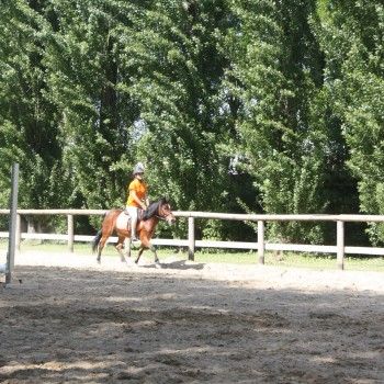 Pony Day Rovigo - 17 maggio 2015