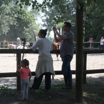 Pony Day Rovigo - 17 maggio 2015