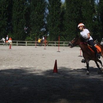 Pony Day Rovigo - 17 maggio 2015
