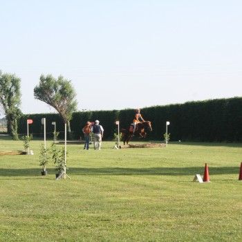 Pony Day Rovigo - 17 maggio 2015