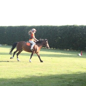 Pony Day Rovigo - 17 maggio 2015