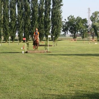 Pony Day Rovigo - 17 maggio 2015