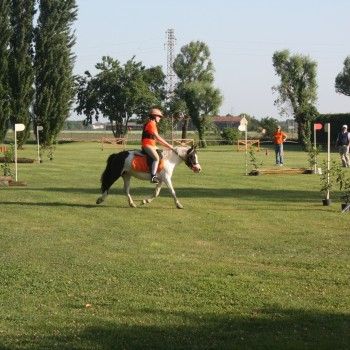 Pony Day Rovigo - 17 maggio 2015
