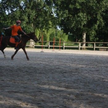 Pony Day Rovigo - 17 maggio 2015