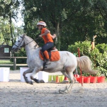 Pony Day Rovigo - 17 maggio 2015