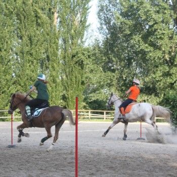 Pony Day Rovigo - 17 maggio 2015