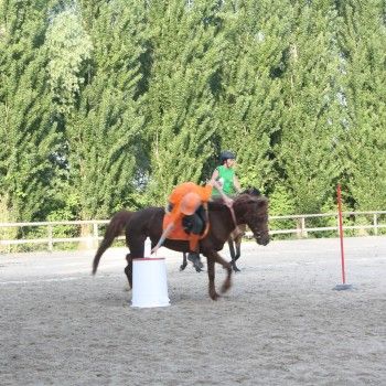 Pony Day Rovigo - 17 maggio 2015