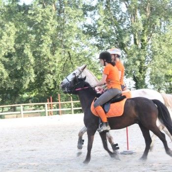 Pony Day Rovigo - 17 maggio 2015