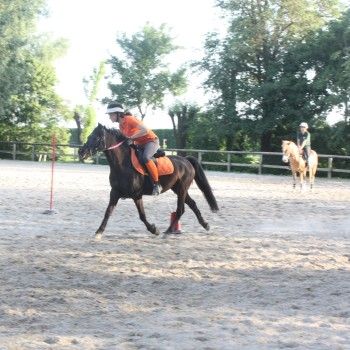 Pony Day Rovigo - 17 maggio 2015