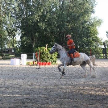 Pony Day Rovigo - 17 maggio 2015