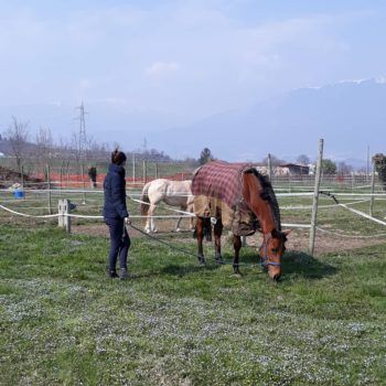 Il valore dello sport