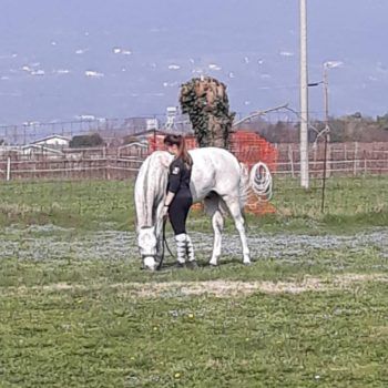 Il valore dello sport