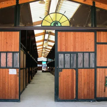 La struttura di Articolo V Horse Academy