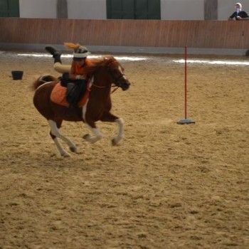 Pony Games - Trofeo 4 Regioni - Milano