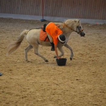 Pony Games - Trofeo 4 Regioni - Milano