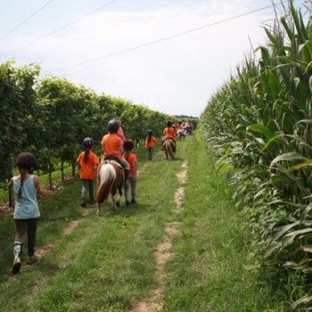 Week End Avventura 2/3 agosto 2014