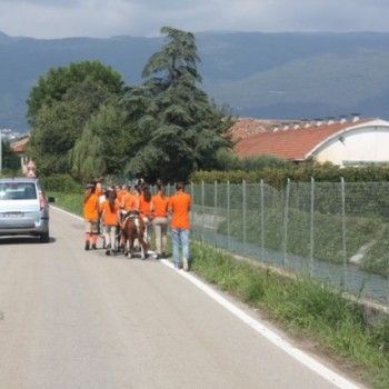 Domenica 7 settembre. Festival Burattini e Marionette !!!