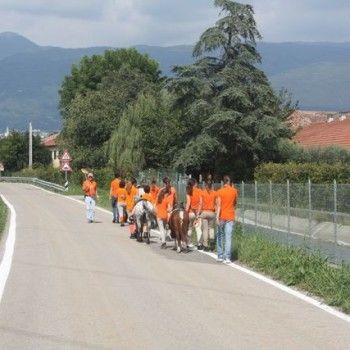 Domenica 7 settembre. Festival Burattini e Marionette !!!