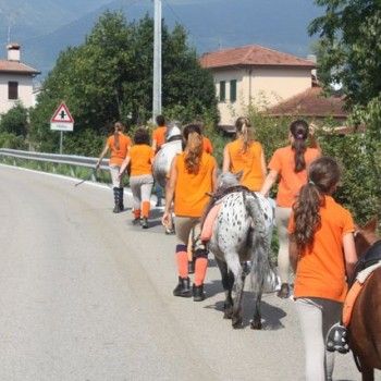 Domenica 7 settembre. Festival Burattini e Marionette !!!