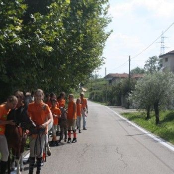 Domenica 7 settembre. Festival Burattini e Marionette !!!