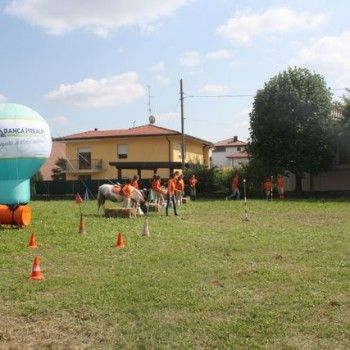 Domenica 7 settembre. Festival Burattini e Marionette !!!