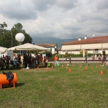 Domenica 7 settembre. Festival Burattini e Marionette !!!