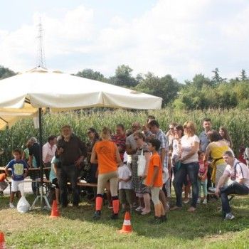 Domenica 7 settembre. Festival Burattini e Marionette !!!