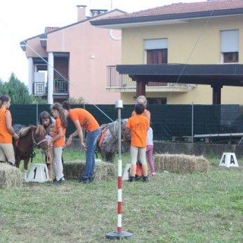 Domenica 7 settembre. Festival Burattini e Marionette !!!