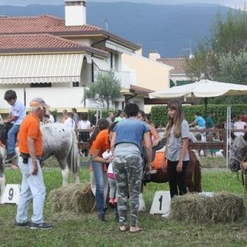 Domenica 7 settembre. Festival Burattini e Marionette !!!
