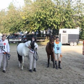 Endurance Pony - Campionato Italiano - CTE Montello