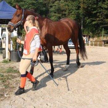 Endurance Pony - Campionato Italiano - CTE Montello