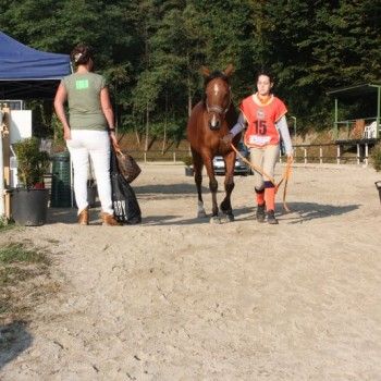 Endurance Pony - Campionato Italiano - CTE Montello