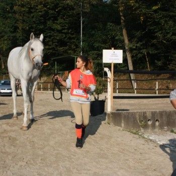 Endurance Pony - Campionato Italiano - CTE Montello