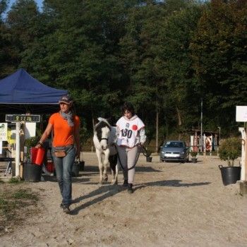 Endurance Pony - Campionato Italiano - CTE Montello