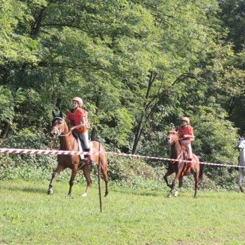 Endurance Pony - Campionato Italiano - CTE Montello