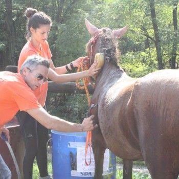 Endurance Pony - Campionato Italiano - CTE Montello