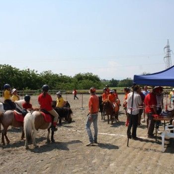 Campionato Triveneto Club - 6 e 7 giugno - Articolo V Horse Academy