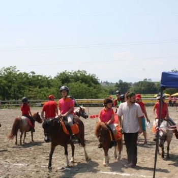 Campionato Triveneto Club - 6 e 7 giugno - Articolo V Horse Academy