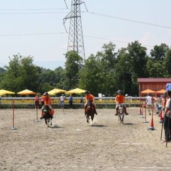 Campionato Triveneto Club - 6 e 7 giugno - Articolo V Horse Academy