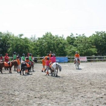 Campionato Triveneto Club - 6 e 7 giugno - Articolo V Horse Academy