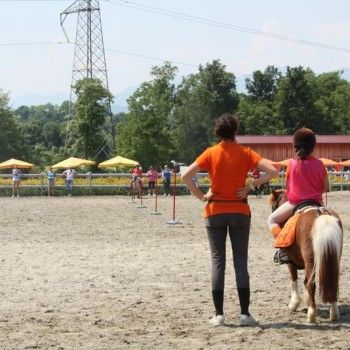 Campionato Triveneto Club - 6 e 7 giugno - Articolo V Horse Academy