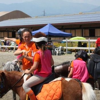 Campionato Triveneto Club - 6 e 7 giugno - Articolo V Horse Academy