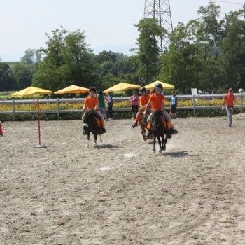 Campionato Triveneto Club - 6 e 7 giugno - Articolo V Horse Academy