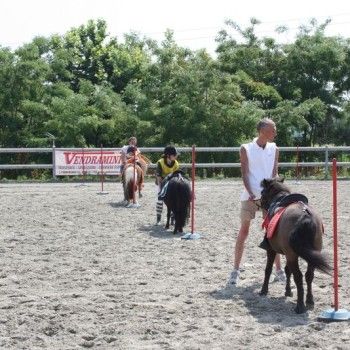 Campionato Triveneto Club - 6 e 7 giugno - Articolo V Horse Academy