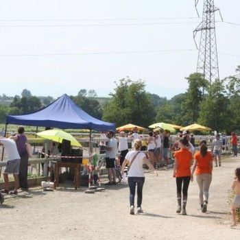 Campionato Triveneto Club - 6 e 7 giugno - Articolo V Horse Academy