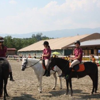 Campionato Triveneto Club - 6 e 7 giugno - Articolo V Horse Academy